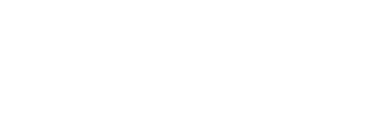 www.aeaairguns.shop