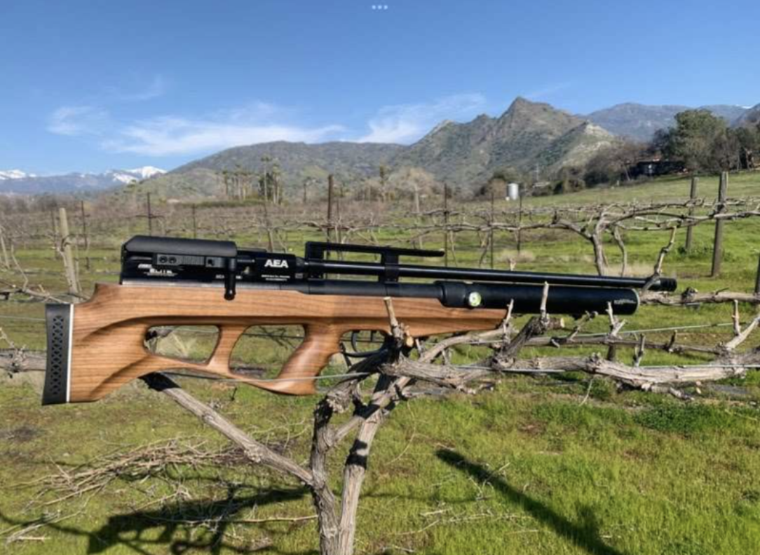 AEA Challenger Bullpup Elite - Big Bore