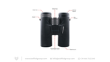 Vector Optics Paragon Binoculars – 10x42 Prism