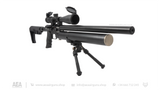 AEA · SF · DMR Bundle