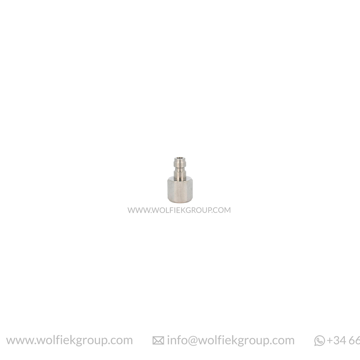 G. Foster Adapter Wolfiek Group Foster Male to G1/8