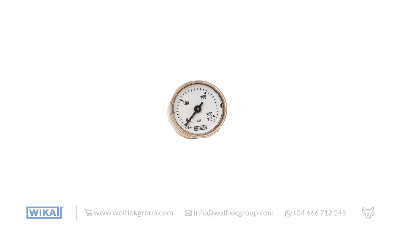 WIKA Analogue Gauge (0 - 315 BAR) · White