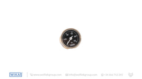 WIKA Analogue Gauge